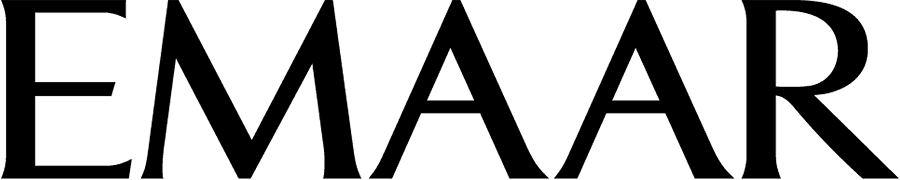 Developer